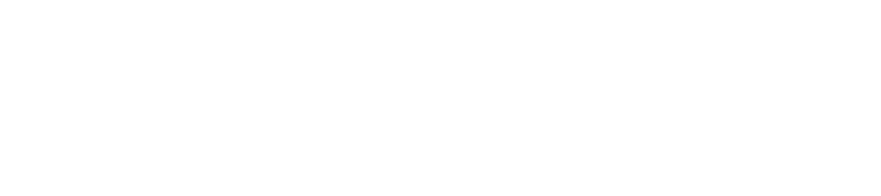 LZ Security & Service GmbH